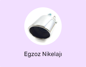 Egzoz Nikelajı