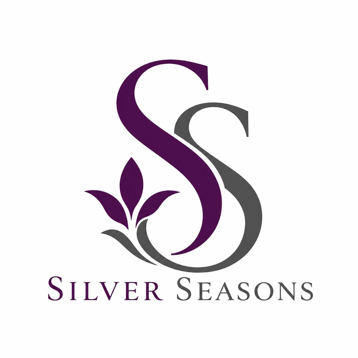 Silver Seasons