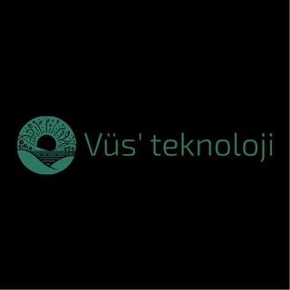 Vüs teknoloji