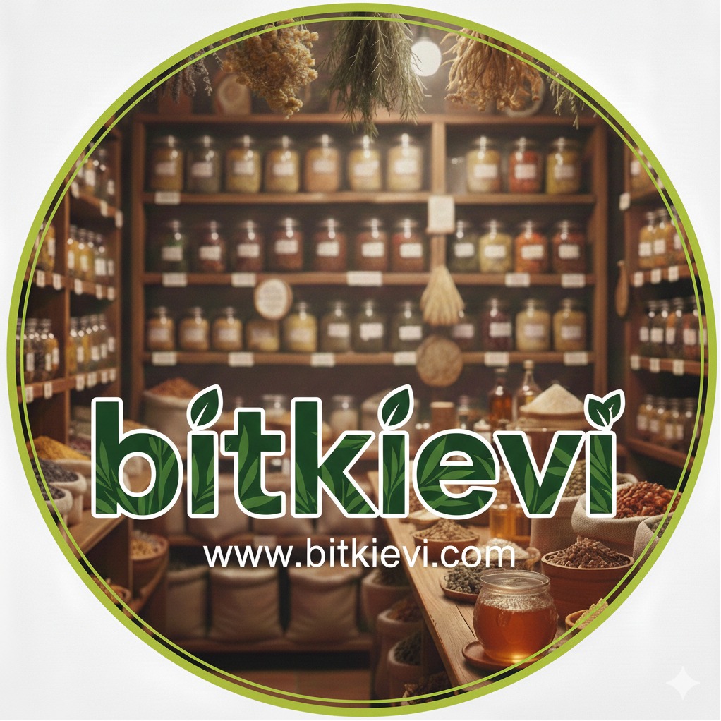 BitkiEvi