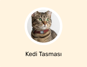 Kedi Tasması