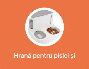 Hrană pentru pisici și recipiente pentru apă