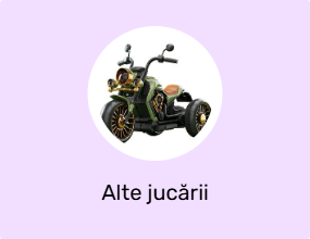 Alte jucării
