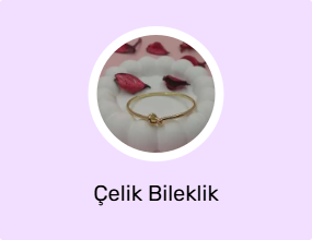 Çelik Bileklik
