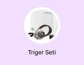 Triger Seti