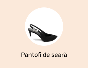 Pantofi de seară