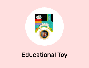 Educational Toy
