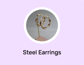 Steel Earrings