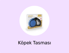 Köpek Tasması