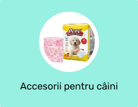 Accesorii pentru câini