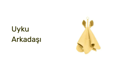 Uyku Arkadaşı