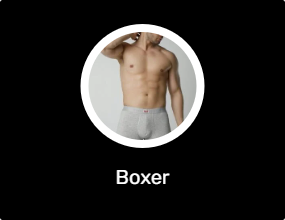 Boxer