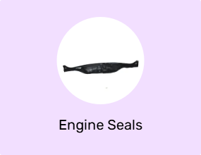 Engine Seals