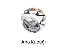 Ana Kucağı