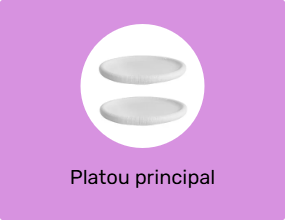 Platou principal