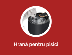 Hrană pentru pisici