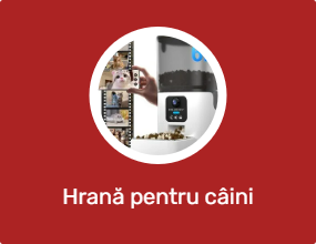 Hrană pentru câini