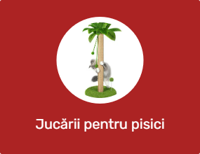 Jucării pentru pisici