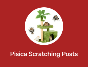 Pisica Scratching Posts