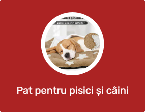 Pat pentru pisici și câini