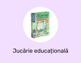 Jucărie educațională