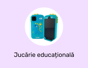 Jucărie educațională