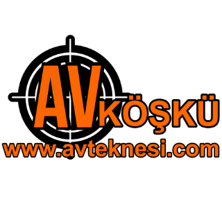 avteknesi logo