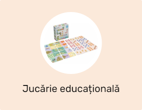 Jucărie educațională