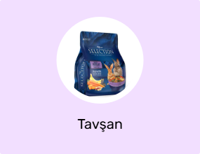 Tavşan