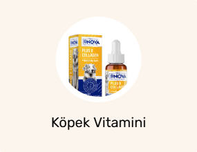 Köpek Vitamini