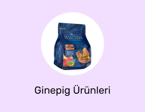 Ginepig Ürünleri