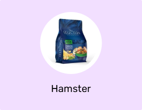 Hamster