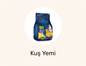 Kuş Yemi