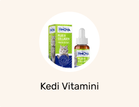 Kedi Vitamini