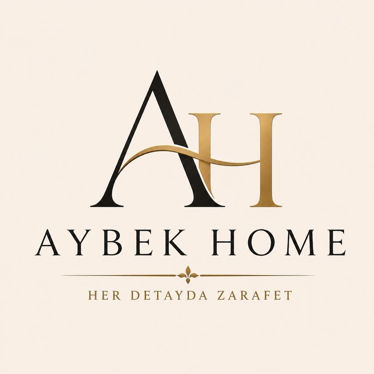 Aybek Home
