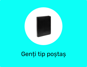 Genți tip poștaș