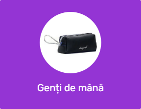 Genți de mână