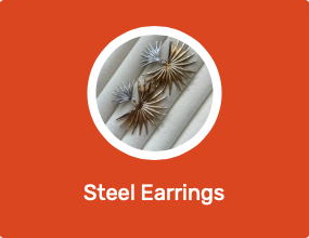 Steel Earrings
