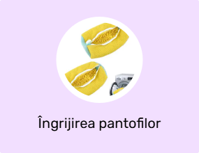 Îngrijirea pantofilor
