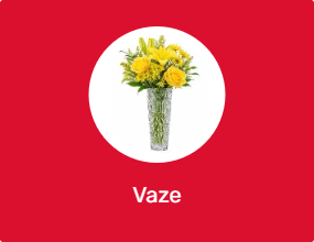 Vaze