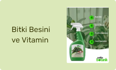 Bitki Besini ve Vitamin