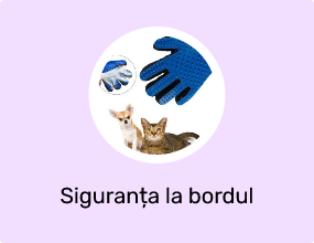 Siguranța la bordul vehiculului