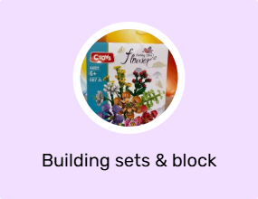 Building sets & block toys