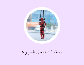 منظمات داخل السيارة
