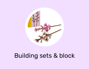 Building sets & block toys