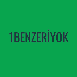 1BENZERİYOK