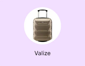 Valize