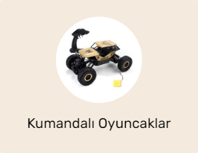 Kumandalı Oyuncaklar