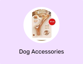 Dog Accessories