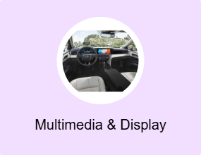 Multimedia & Display System